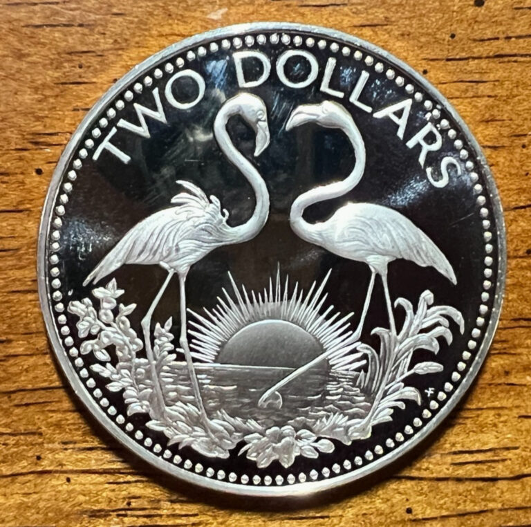 Read more about the article 1974 BAHAMAS SILVER $2 FLAMINGOS PROOF BRILLIANT UNCIRCULATED CROWN
