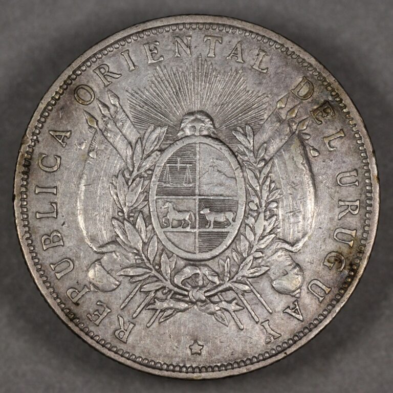 Read more about the article 1893 Uruguay Silver Peso