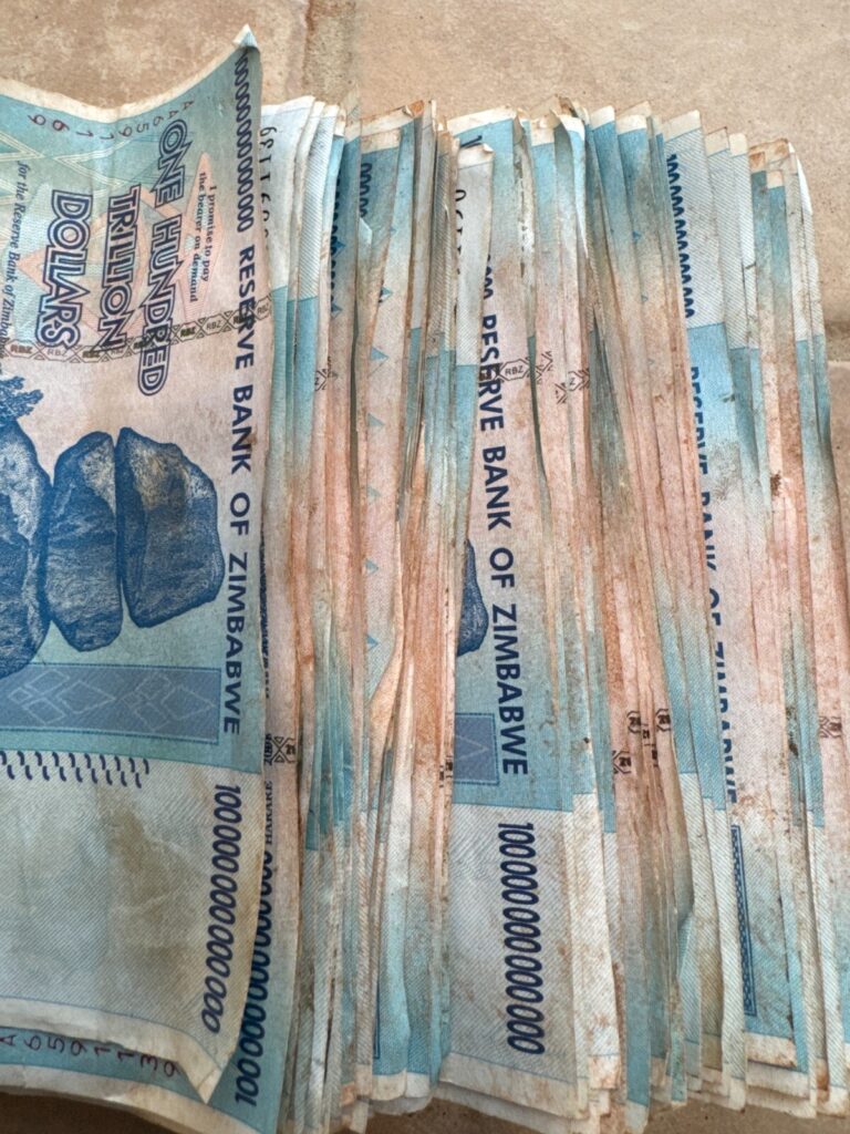 Read more about the article 🇿🇼 ZIMBABWE 100 TRILLION DOLLAR  SERIES AA/2008  P-91 CIRCULATED  LOT OF 10