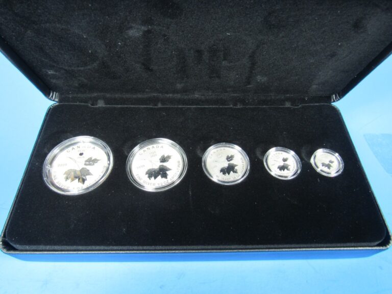 Read more about the article 2026  Canada  5-Coin Set  Fractional Mapel Leaves In OGP  100th Birthday of E II