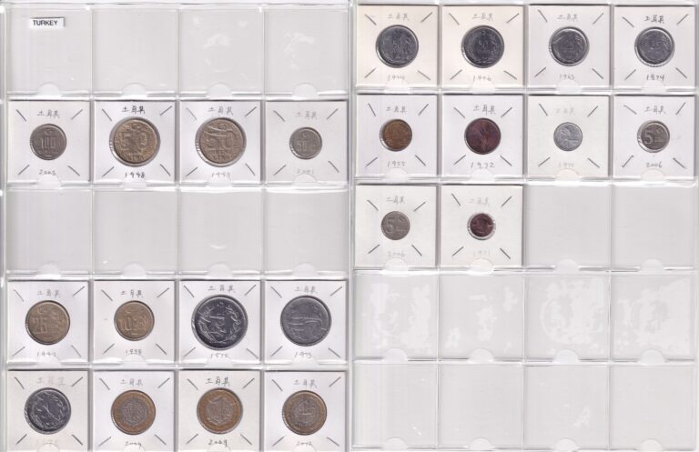 Read more about the article Lot of 22) Turkey Coins Lot 1 5 10 25 50 100 Bin Lira 1 5 10 25 50 Kurus Turkish