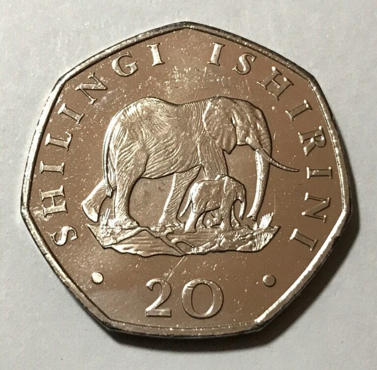 Read more about the article 1992 Tanzania 20 shillings Coin Elephant with Baby Animal Africa Wildlife