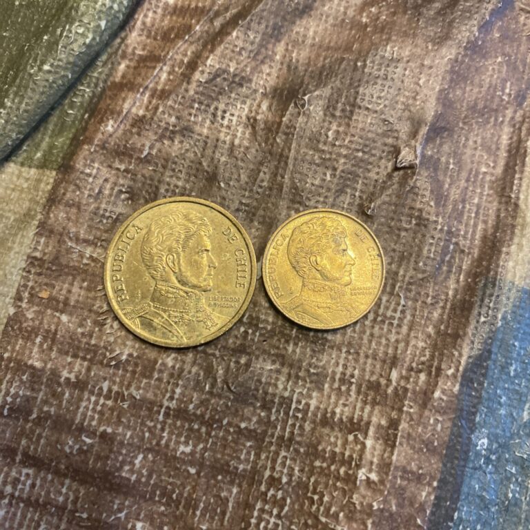 Read more about the article 1989 CHILE Peso  2016 10 Peso- 2 Coins