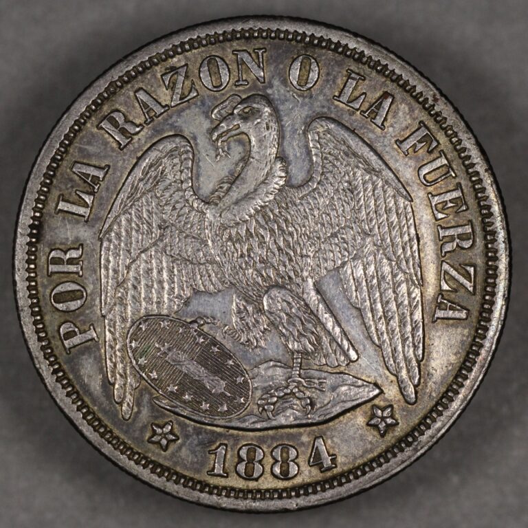 Read more about the article 1884 Chile Silver Peso