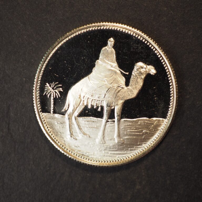 Read more about the article 1969 YEMEN  1 R IYAL **NICE PROOF COIN** FREE SHIPPING M9766