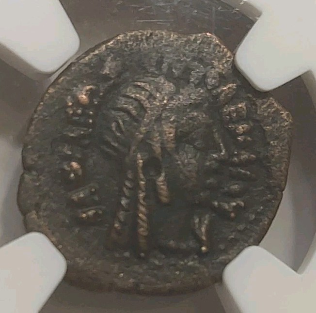 Read more about the article 246-222 BC PTOLEMY III CYRENE LIBYA PTOLEMAIC KINGDOM ANCIENT COIN NGC AE-17 VF