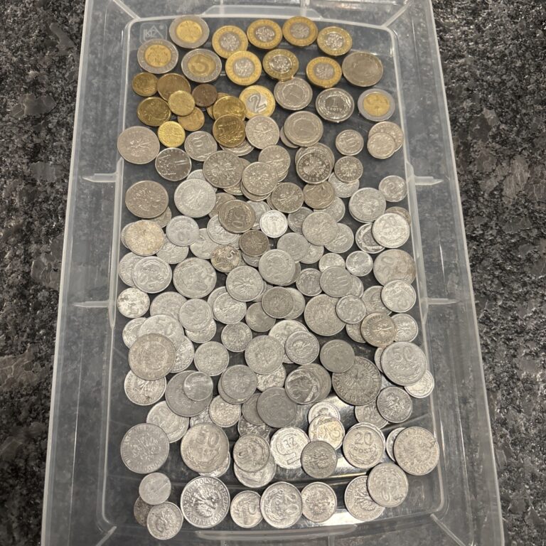 Read more about the article Lot Of Polish Coins Zlote- Group Of Coins From Poland  1940’s-2000’s id3