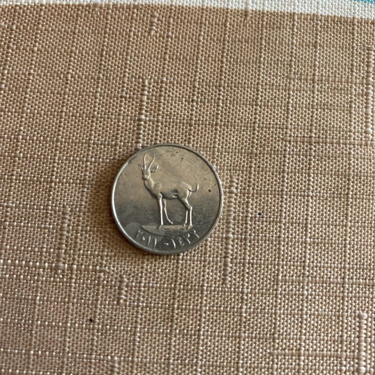 Read more about the article United Arab Emirates Coin