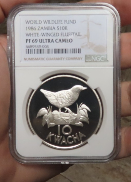Read more about the article 1986 Zambia Silver 10 Kwacha  White-Winged Flufftail WWF NGC PF 69 African Coi