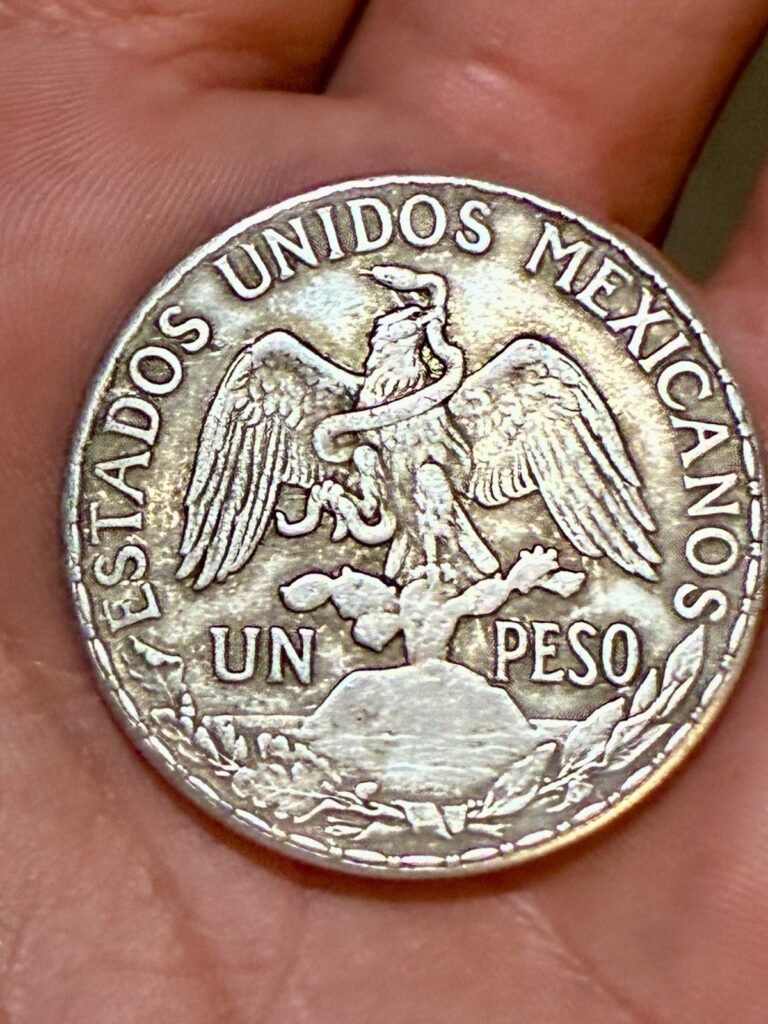 Read more about the article 1910 Un Peso Caballito Silver Coin  Mexico  Slightly Toning
