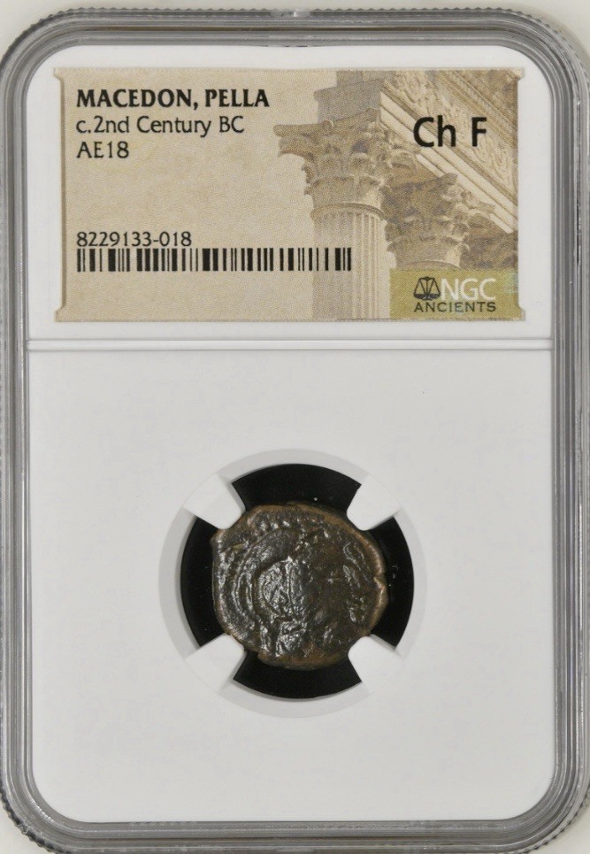 Read more about the article Kingdom of Macedon NGC 200BC-100BC Greece Coin City Of Pella Genuine Choice Fine