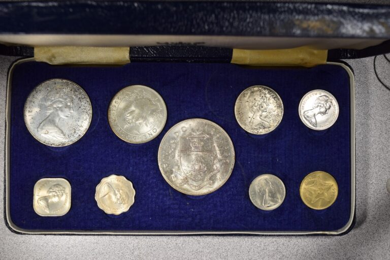 Read more about the article BAHAMAS 1966 9-Coin Mint Set ~Flora Fauna ~ 2.87 oz. Silver Royal Mint ~ Bad Box