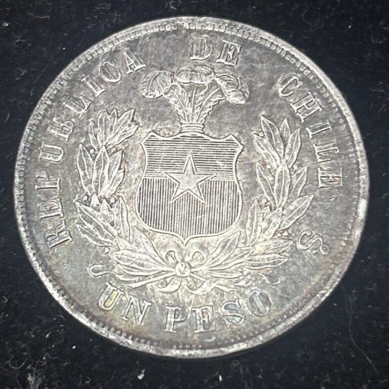 Read more about the article SASA 1884 Santiago Chile Peso Silver Un Peso