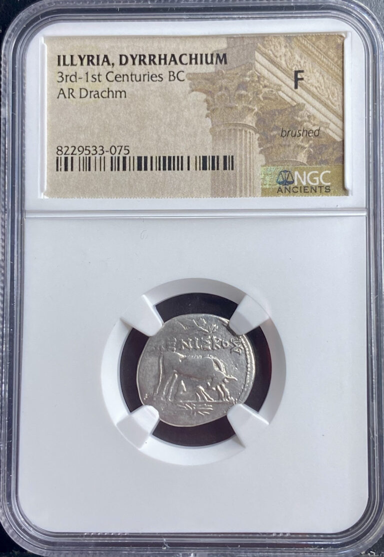 Read more about the article Hellenistic Period Ancient Greek Illyria Dyrrhachium Coin 200BC-80 BC Drachm