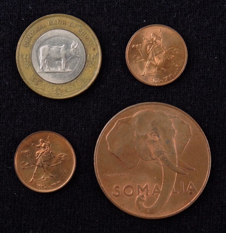 Read more about the article Sudan Somalia Coin LOT Sudanese Coins 20 PIASTRES 1 MILLIEME Somali 10 CENTESIMI