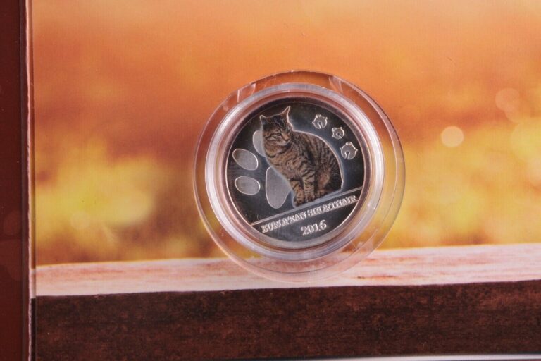 Read more about the article 2016 Burkina Faso British Shorthair Cat 999 Silver Coin 500 Francs ULTRA RARE
