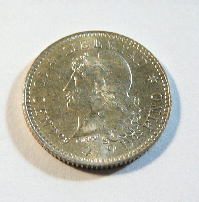 Read more about the article 1883 Argentina 10 Centavos Silver Coin UNCIRCULATED