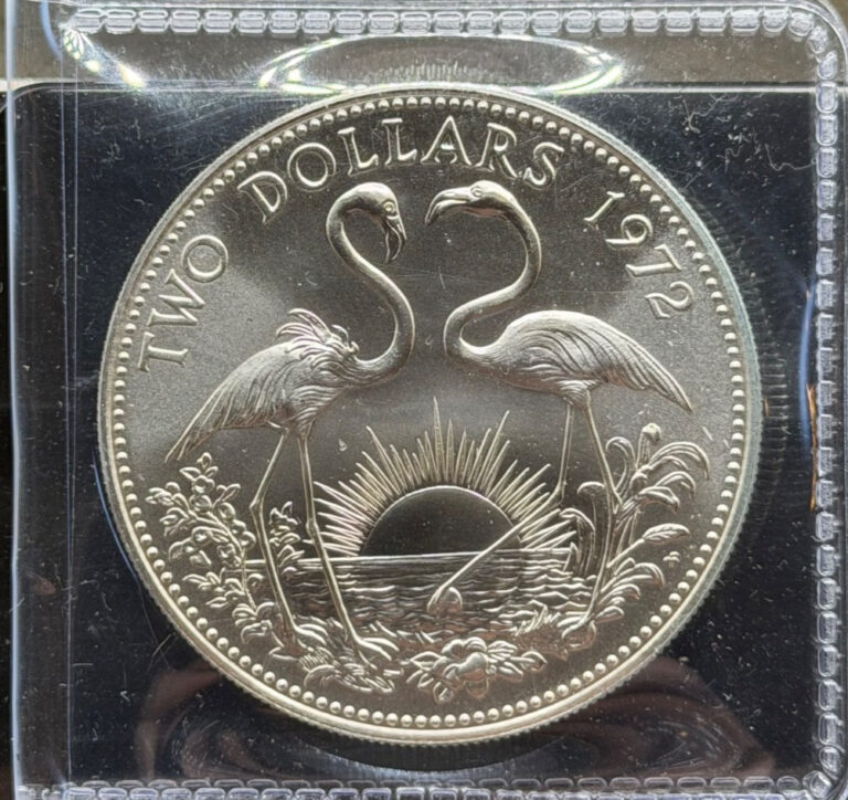 Read more about the article 1972 $2 Bahamas Flamingo Two Dollars .925 Sterling Silver Coin 29.81g UNC BU! LN