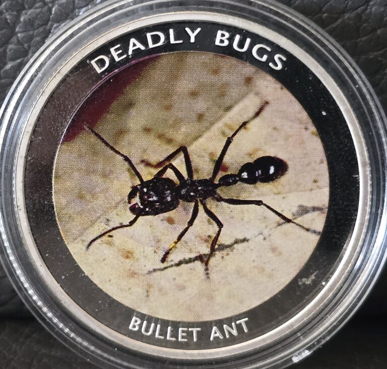 Read more about the article Zambia 2010 Kwacha Silver Proof – Bullet Ant – Deep Cameo/Colorized