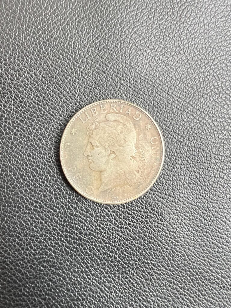Read more about the article Coin 1 Peso 1881 Argentina