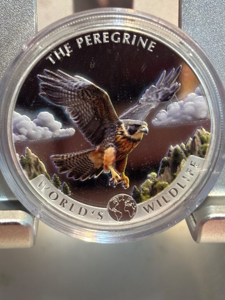 Read more about the article 2024 Congo World’s Wildlife Peregrine Falcon Colorized 1 oz silver coin