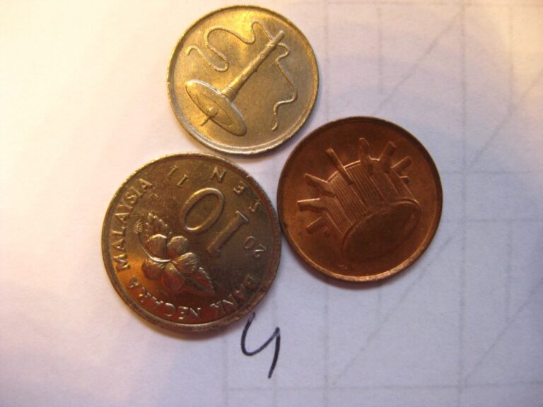 Read more about the article Malaysia  COINS