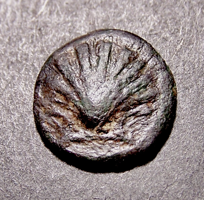 Read more about the article Greco-Roman Coin   Scallop Shell and Dolphins in Old Taranto  Italy  16mm c 250 BC