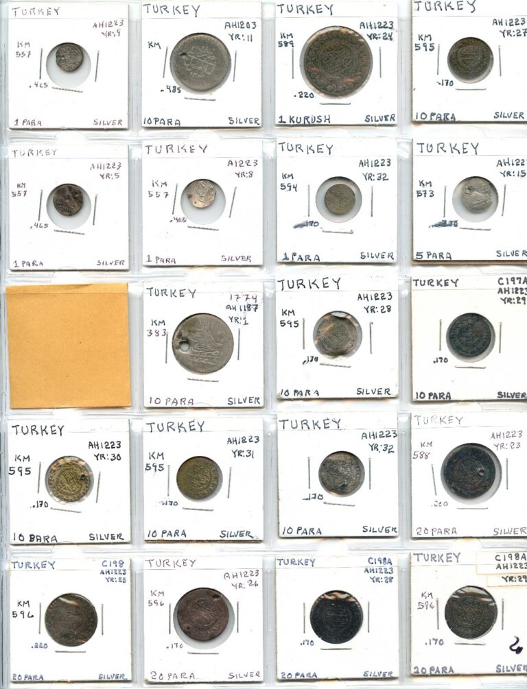 Read more about the article Ottoman Turkey Silver Para/Kurush  AH1189   AH1223 – Total 19 Silver Coins