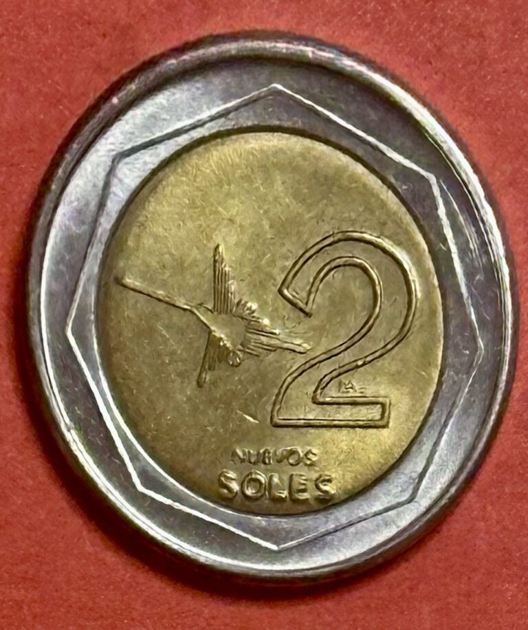 Read more about the article 1995 PERU 🇵🇪 2 NUEVOS SOLES GOOD CONDITION ACTUAL COIN SEE PICTURES #236