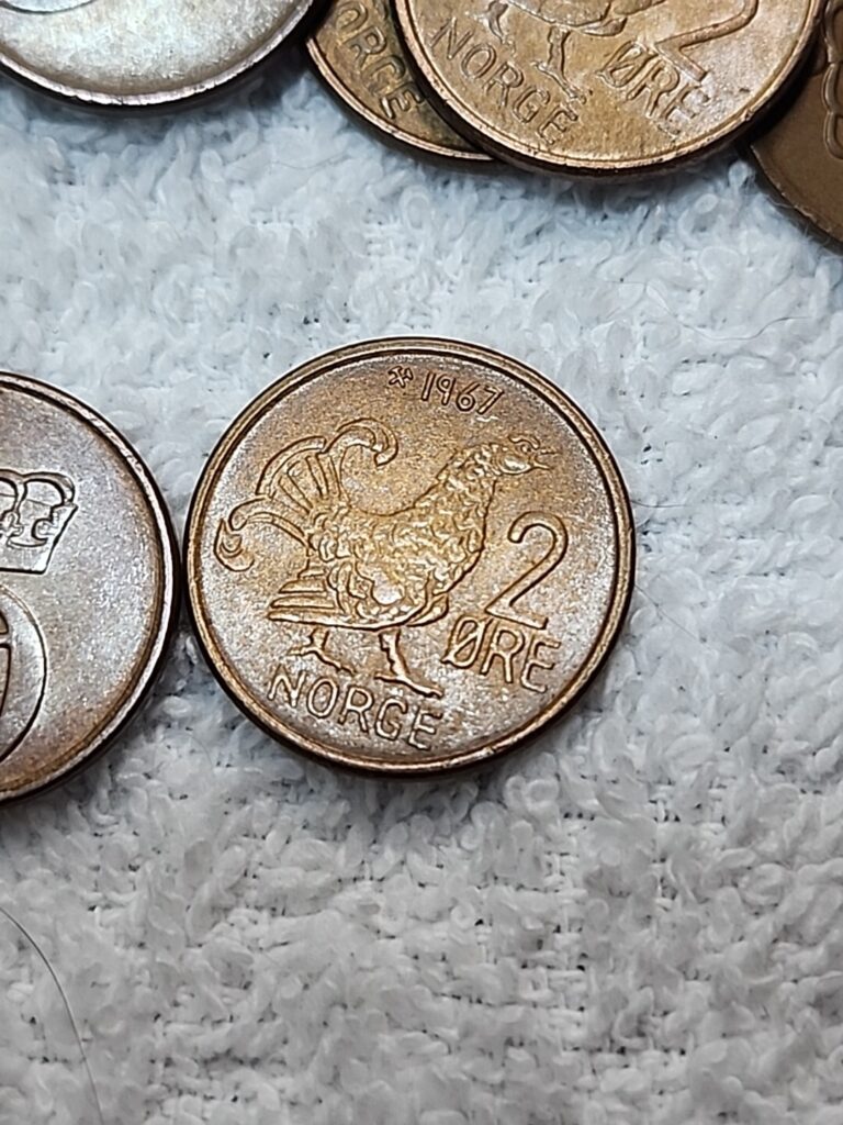 Read more about the article Vintage Norway Coin – 2 Ore – MOOR HEN SERIES -Great Coins – Mixed Dates- Viking