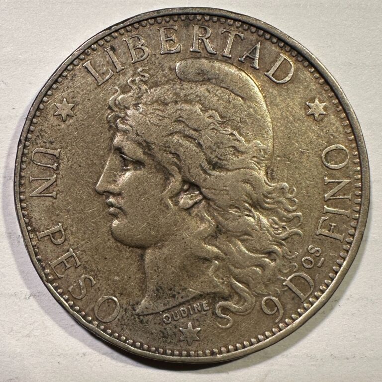 Read more about the article 1882 Argentina Republic Peso Silver Crown Very Scarce Type Coin Nice Surfaces
