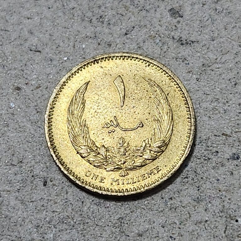 Read more about the article LIBYA 🇱🇾 ONE (1) MILLIEME COIN 1965 (KING IDRIS I)