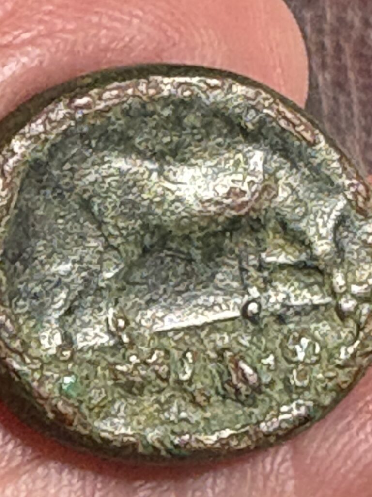 Read more about the article Ancient Greece 160BC Macedonia/Pella Mint. Rare Athena/Grazing Bull 19mm CG16
