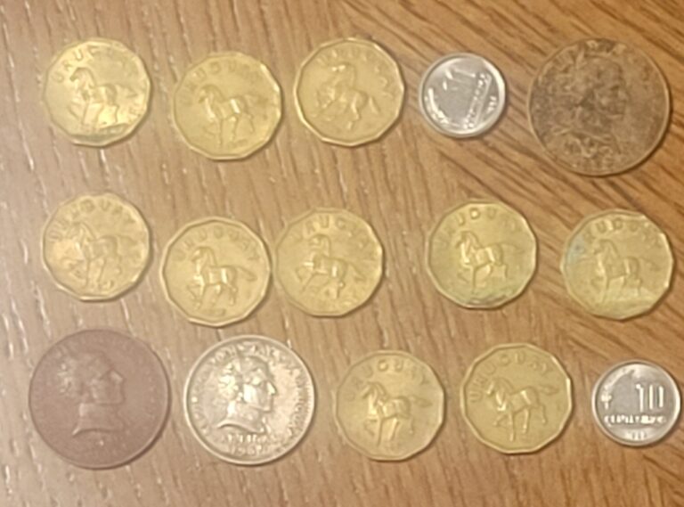 Read more about the article Uruguay 15 coins lot. Used but nice grades.