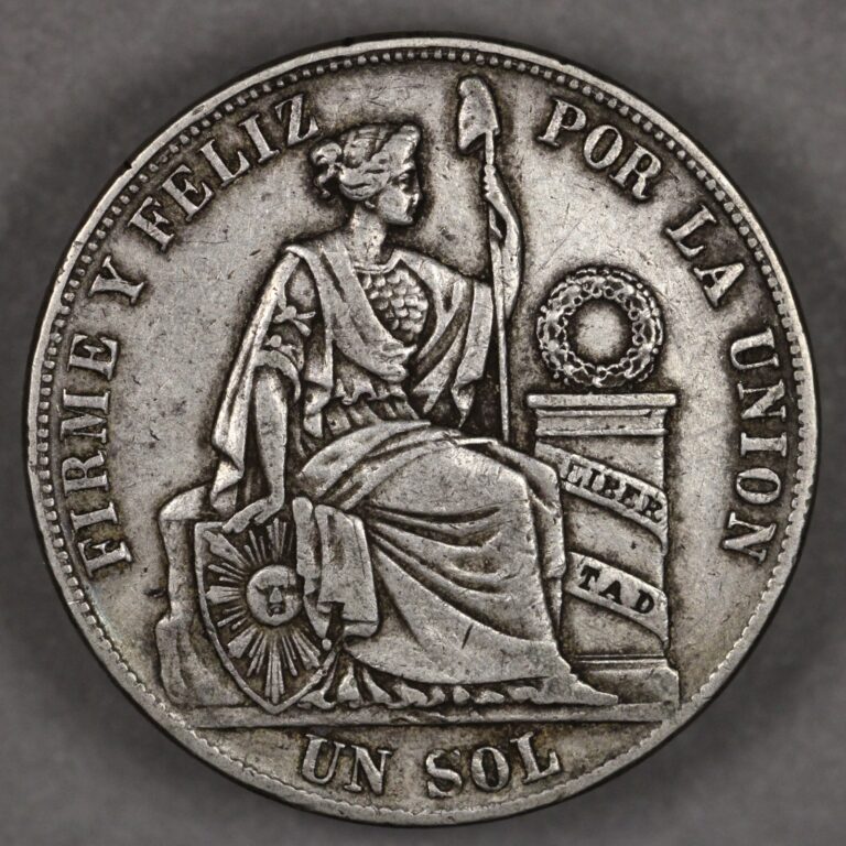 Read more about the article 1885 Peru Silver Sol
