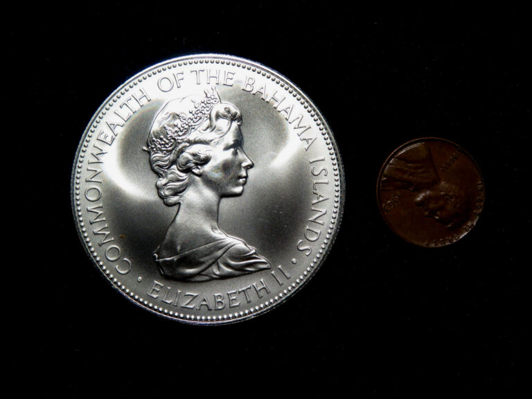 Read more about the article Choice Gem Brilliant Uncirculated 1973 Bahama Five Dollar Silver Coin B21