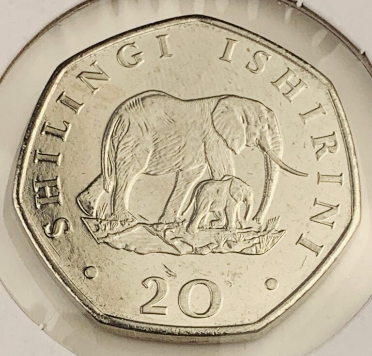 Read more about the article 1992 Tanzania 20 Shilingi Coin Elephant and Calf Africa Wildlife Animal