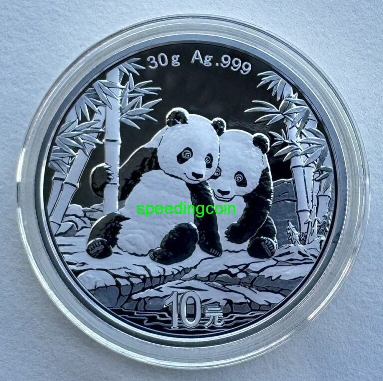 Read more about the article China 2026 Panda Silver Coin 10 Yuan 30g