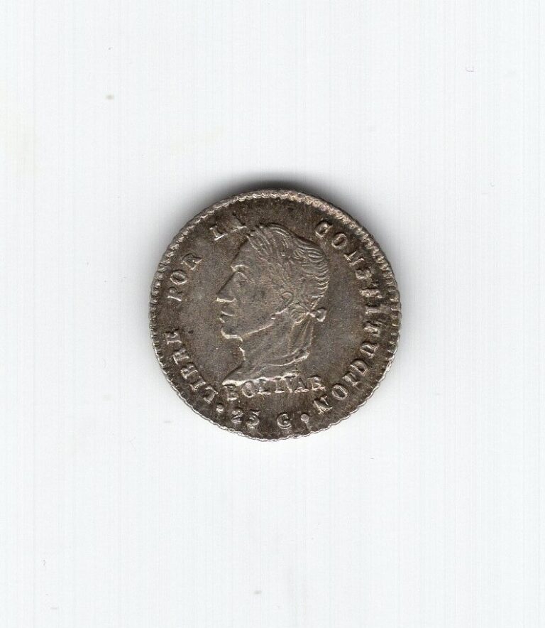 Read more about the article BOLIVIA 1/2 Sol silver coin 1862