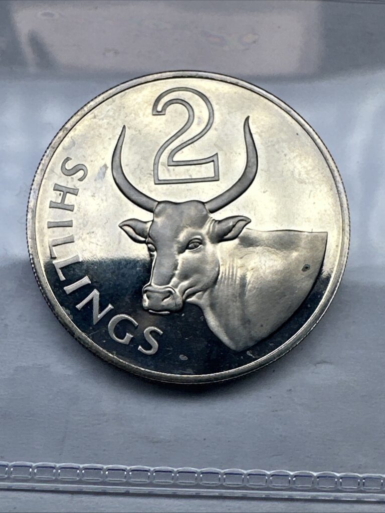 Read more about the article 1966 The Gambia 2 Shillings Proof Coin