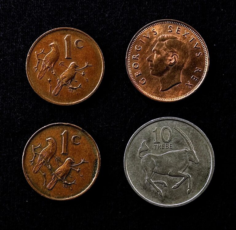 Read more about the article South Africa Botswana Coin LOT * 1952-1989 1/4 PENNY 1 CENT 10 THEBE Coins BULK