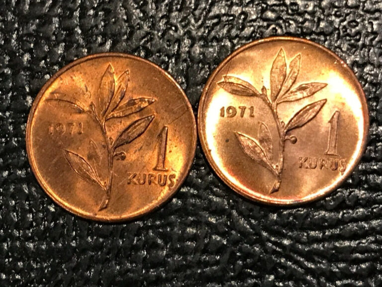 Read more about the article NICE TONING 2-HIGH GRADE BU 1971 TURKEY 1 KURUS COINS-FEB115