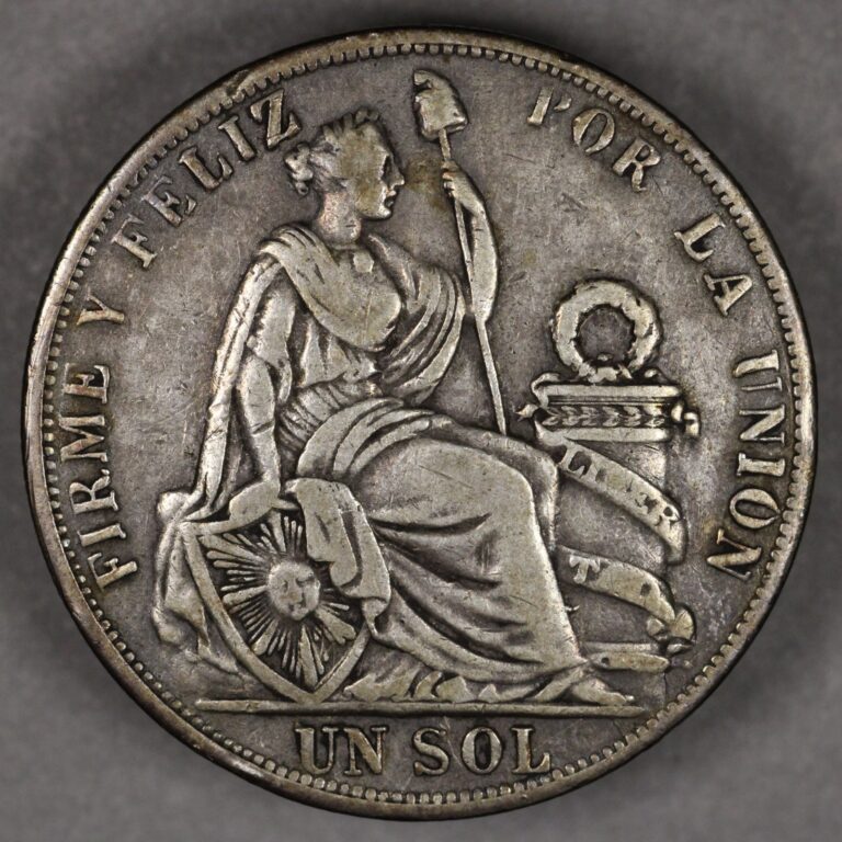 Read more about the article 1891 Peru Silver 1 Sol