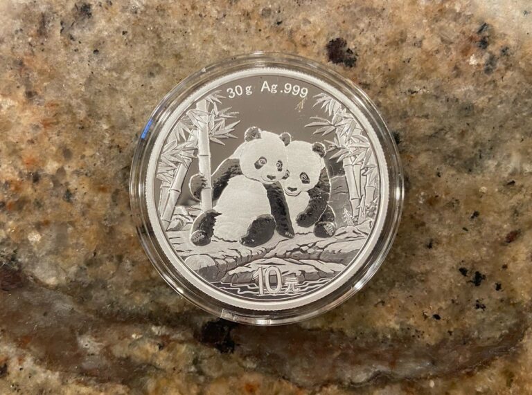 Read more about the article 2026 30 g 10 Yuan Chinese Silver Panda Coin BU in Capsule w/ Manual