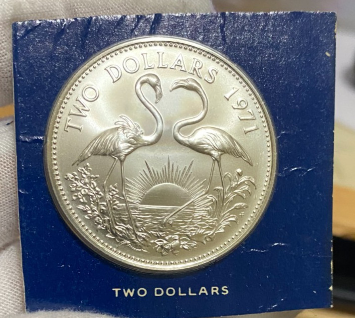 Read more about the article BAHAMAS 1971 ~SILVER 2 DOLLARS FROM A UNCIRCULATED SPECIMEN SET