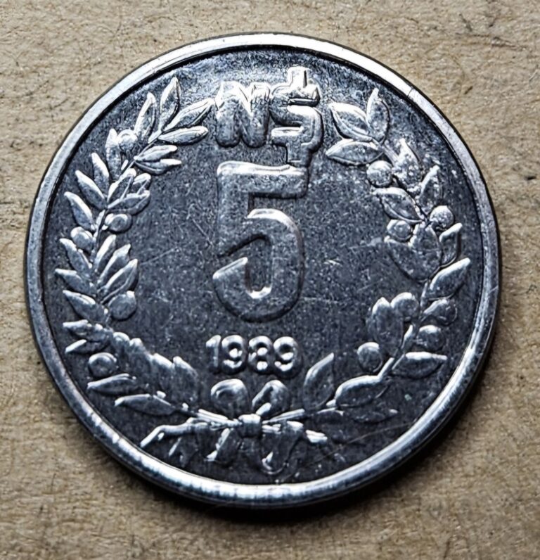 Read more about the article 1989 Uruguay Five 5 New Pesos – Stainless Steel Coin – World Coin