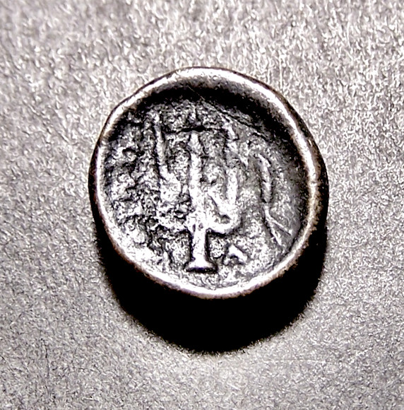 Read more about the article Greek Coin  Trident  Dolphin  and Boeotian Shield  Ancient Greece  12mm  c 300 BC