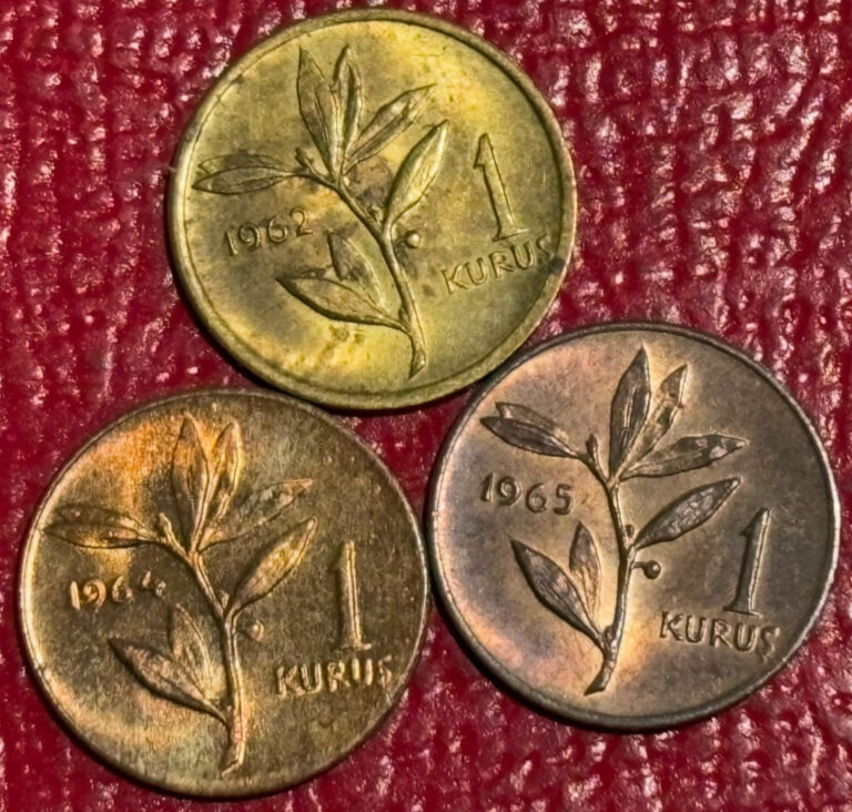 Read more about the article 3-HIGH GRADE 1962/1964/1965 TURKEY 1 KURUS COINS-AGT262