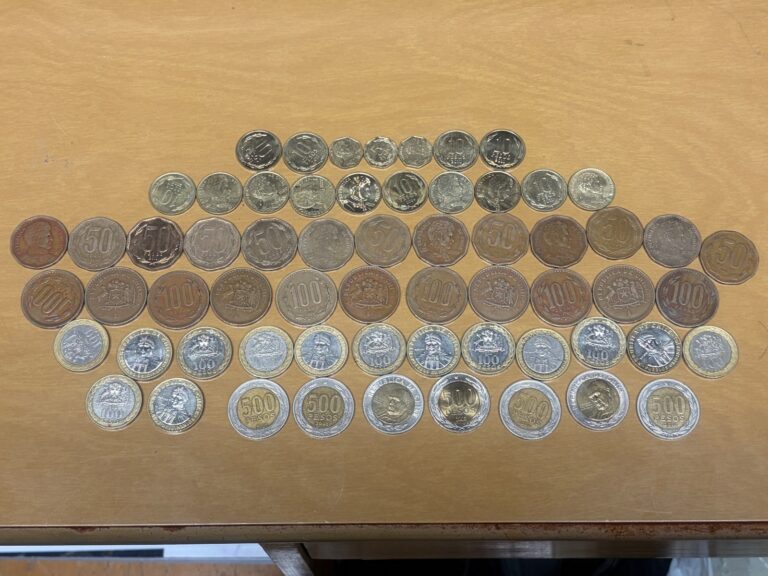 Read more about the article CHILE 5-10-50-100-500 PESOS 1993-2004 Lot of 62 Coins.
