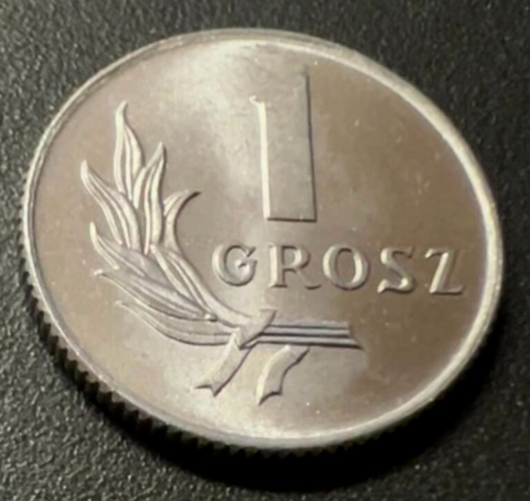 Read more about the article POLaND – 1 Grosz 1949 – The Polish People’s Republic * UNC